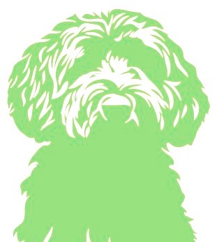 You can meet another member of our team by clicking the link below!